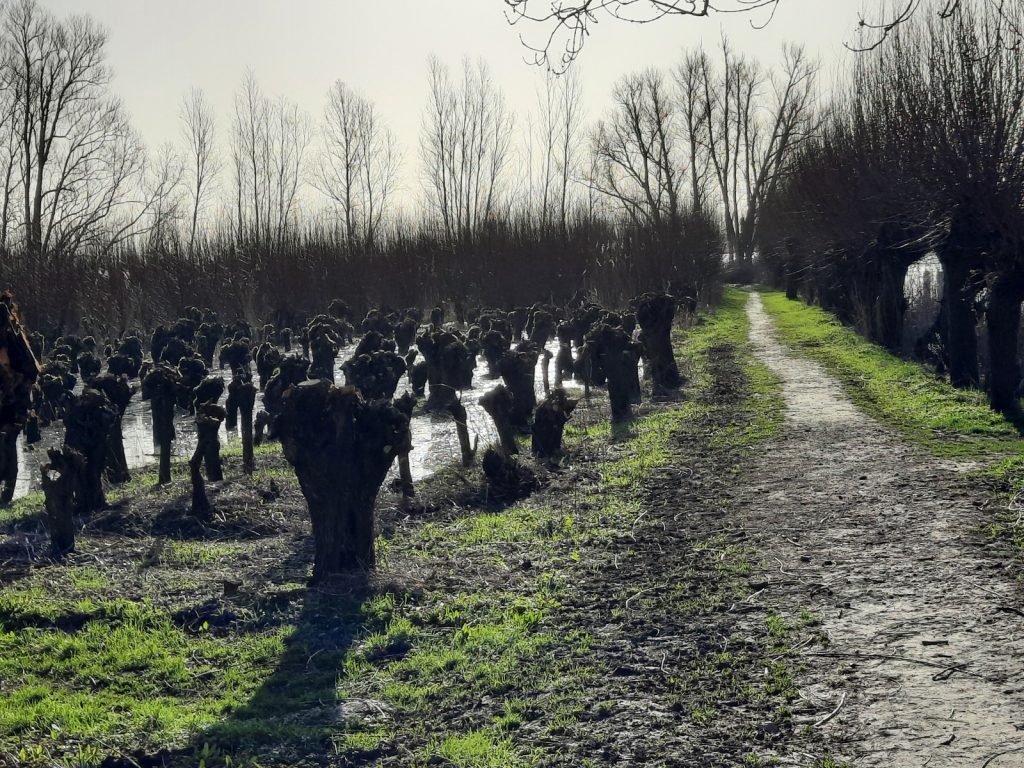 Foto: Karina van Zuilen